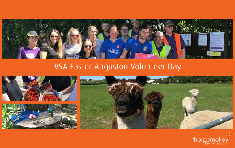 Volunteer Day For VSA